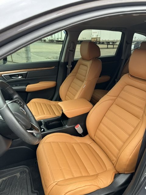 Full interior, cars too